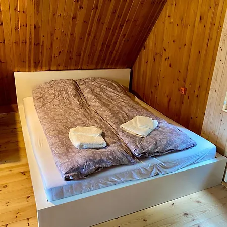 Hébergement de vacances W Lesie Golubie